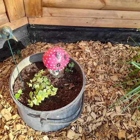 Pensjonat A L'oree Du Cedre