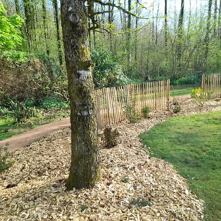 A L'oree Du Cedre Pensjonat