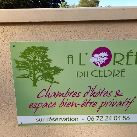 A L'oree Du Cedre 3* プゾージュ