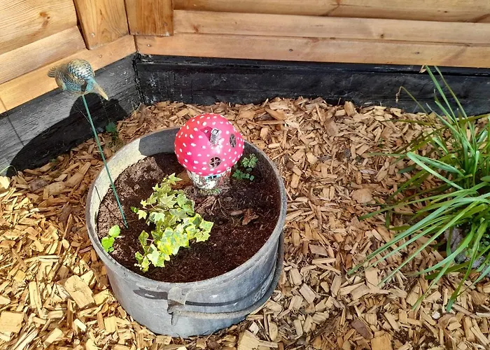 招待所 A L'oree Du Cedre